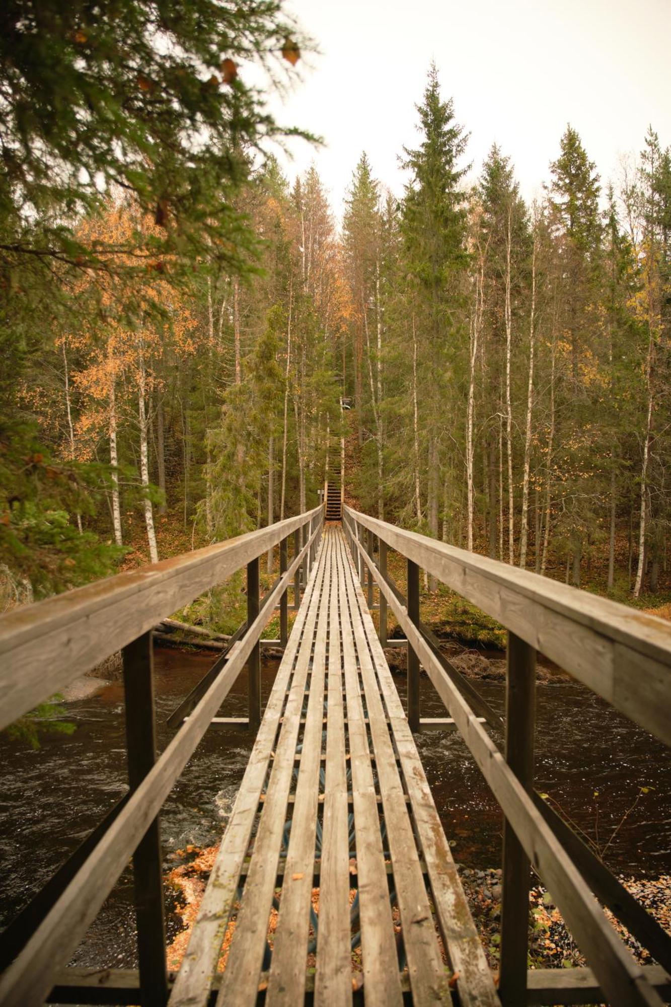 Hotel Langforsen Glamping & Lapland Experience à Lapptrask Extérieur photo